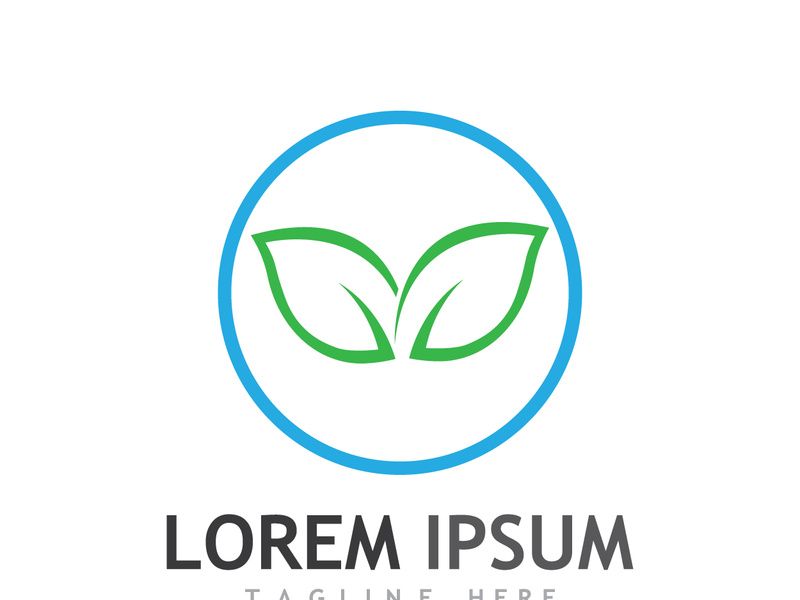 Colorful natural leaf logo design.