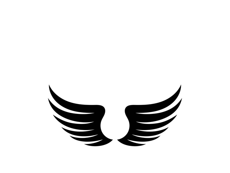 Wing illustration logo and symbol vector