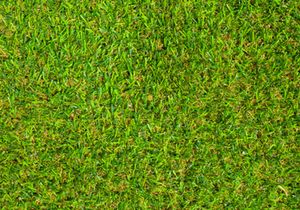 Free 10 Texture Backgrounds