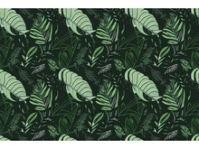 illustration features exotic jungle plants