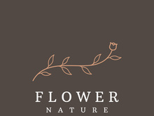 Hand drawn natural organic botanical feminine delicate logo for florist, wedding, badge, photographer and beauty.