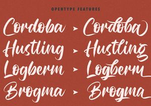 Rubeyma - Bold Script Font