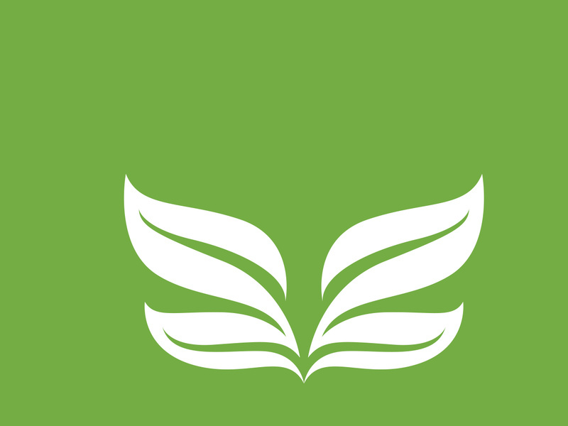 Leaf logo green nature vector image