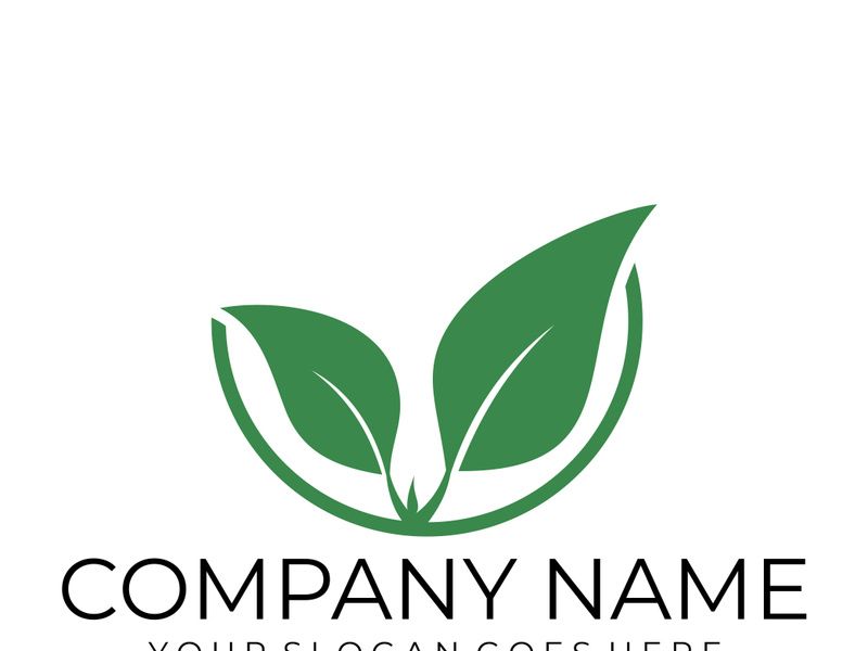 Green leaf logo design vector illustration