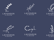 Lavender Logo Elegant Purple Flower Plant Illustration