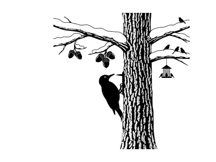 Silhouette of woodpecker on tree with bird feeder and other birds