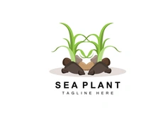 Seaweed Logo, Sea Plants Vector Design, Grocery And Nature Protection