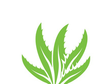 Aloe Vera logo icon design symbol beauty skin care