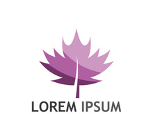 Maple leaf logo design with creative idea