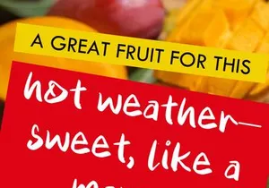 ELAAS – Basic Modern Casual Handwritten Font (OTF)