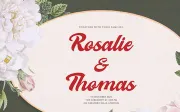 Melcostra | Handwritten Bold Script