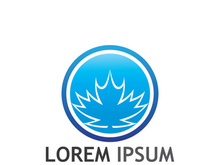 Maple leaf logo design with creative idea