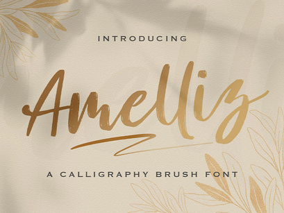 Amelliz - Calligraphy Brush Font