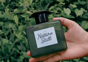 Averty Meadow | Monoline Script