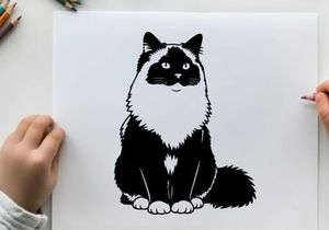 Silhouette of a black and white cat sitting down