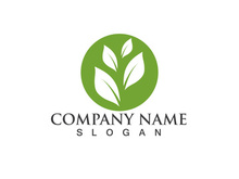 Green leaf logo Vector