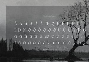 Drogel | Display Serif Font
