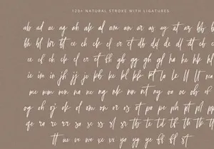 Selestia Signature - Handwritten Font