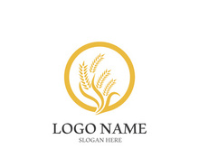 Wheat logo vector icon illustration design
