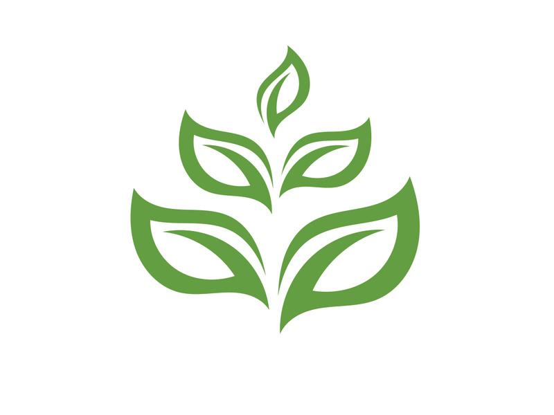 Leaf green logo vector