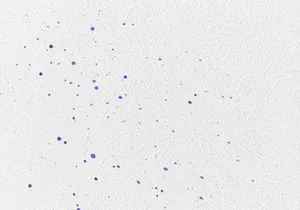 Watercolor Spray & Splatter Photoshop Brushes