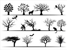 Trees Silhouettes Collection