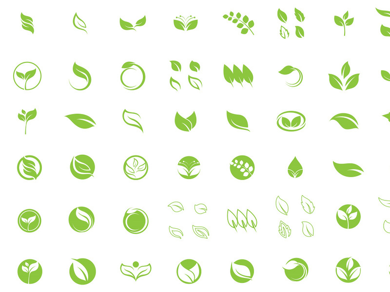 Leaf Green Tea logo Vector