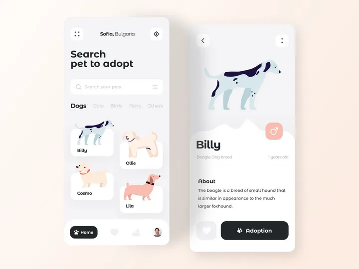 Pets Adoption App UI