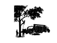 Silhouette of tree removal service workers with truck and equipment