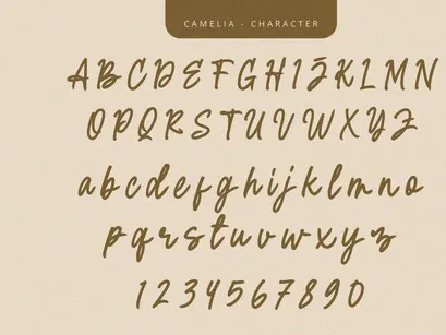 Camelia - Script Font