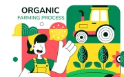 10 Organic Farming Process Illustration