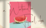 Martin Zidan - Signature Script Font