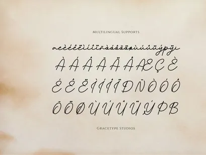 Pafilona | Monoline Script