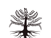 Root Leaf Family Tree of Life Oak Banyan Maple Stamp Seal Emblem Label logo design vector