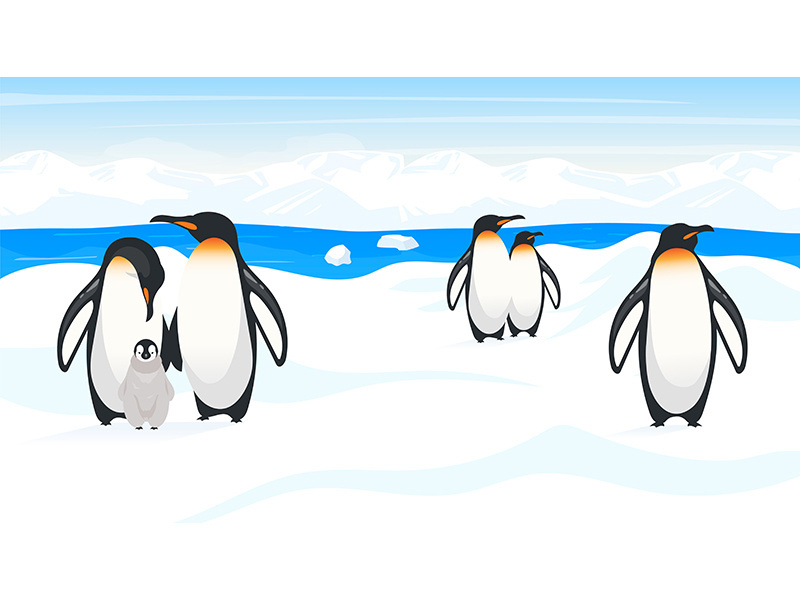 South pole wildlife flat vector illustration