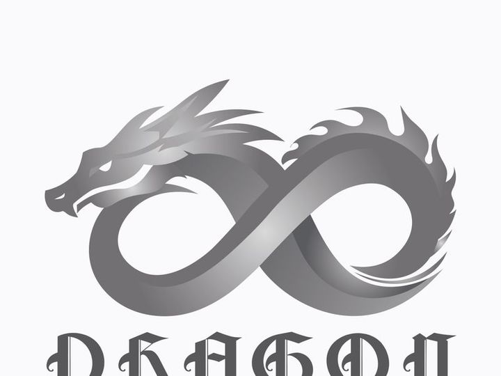 Dragon logo art illustration