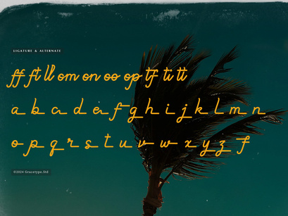Paradise Gallaiso | Monoline Script Typeface