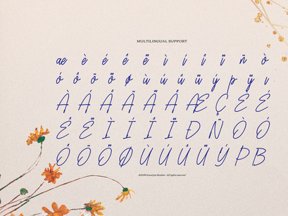Lingered Amaya | Handwritten Script