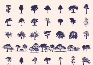 Silhouettes Trees Set, Pine Tree fir pruce cedar white patch alder elm birch ash cypress beech palm tree.