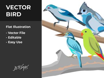 Birds Vector Bundle preview picture