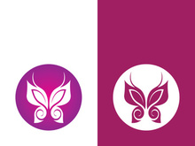 Beauty butterfly vector icon design