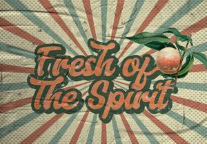 Aerillyo - Retro Bold Script Font
