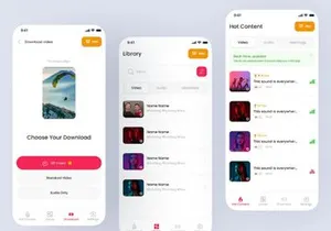 Lvideox v1.0 - Video Downloader with Browser