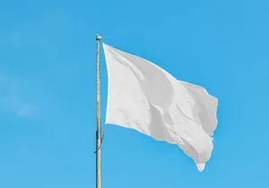 Waving Flag Mockup