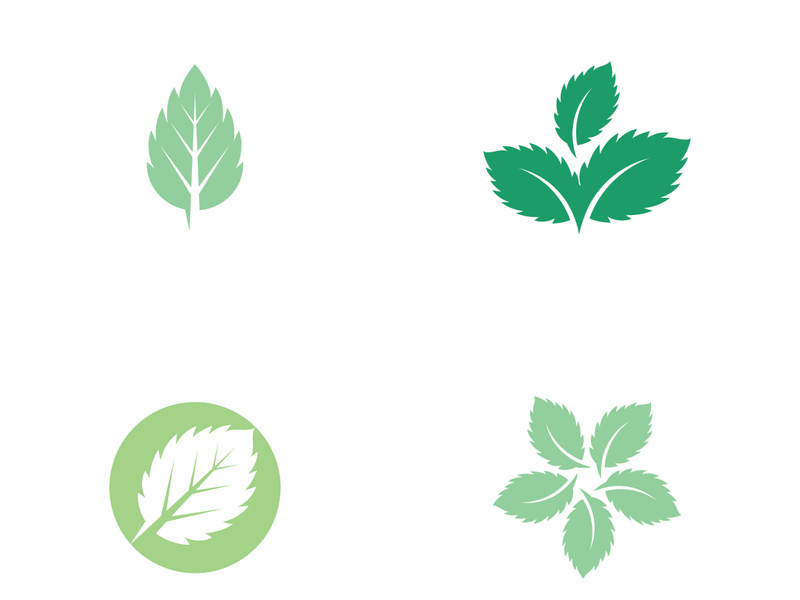 Mint Leaf icon template illustration