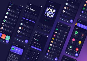 Payou digital wallet app Dark UI kit