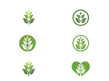 Eco green icon illustration design
