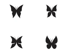 Butterfly icon design