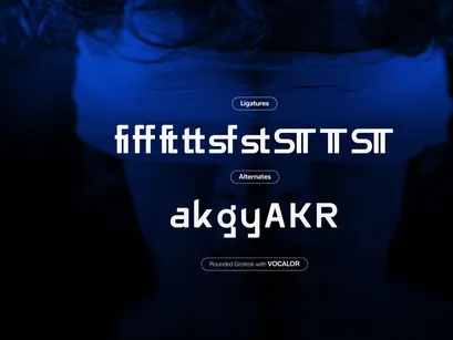 Vocalor | Rounded Grotesk