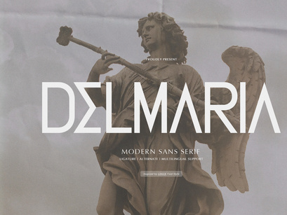 Delmaria | Modern Sans Serif